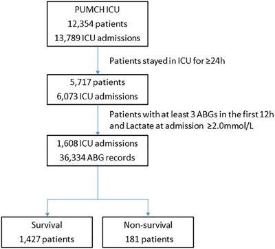 Exploring dynamic change in arterial base excess with patient outcome and lactate clearance in the intensive care unit by hierarchical time-series clustering